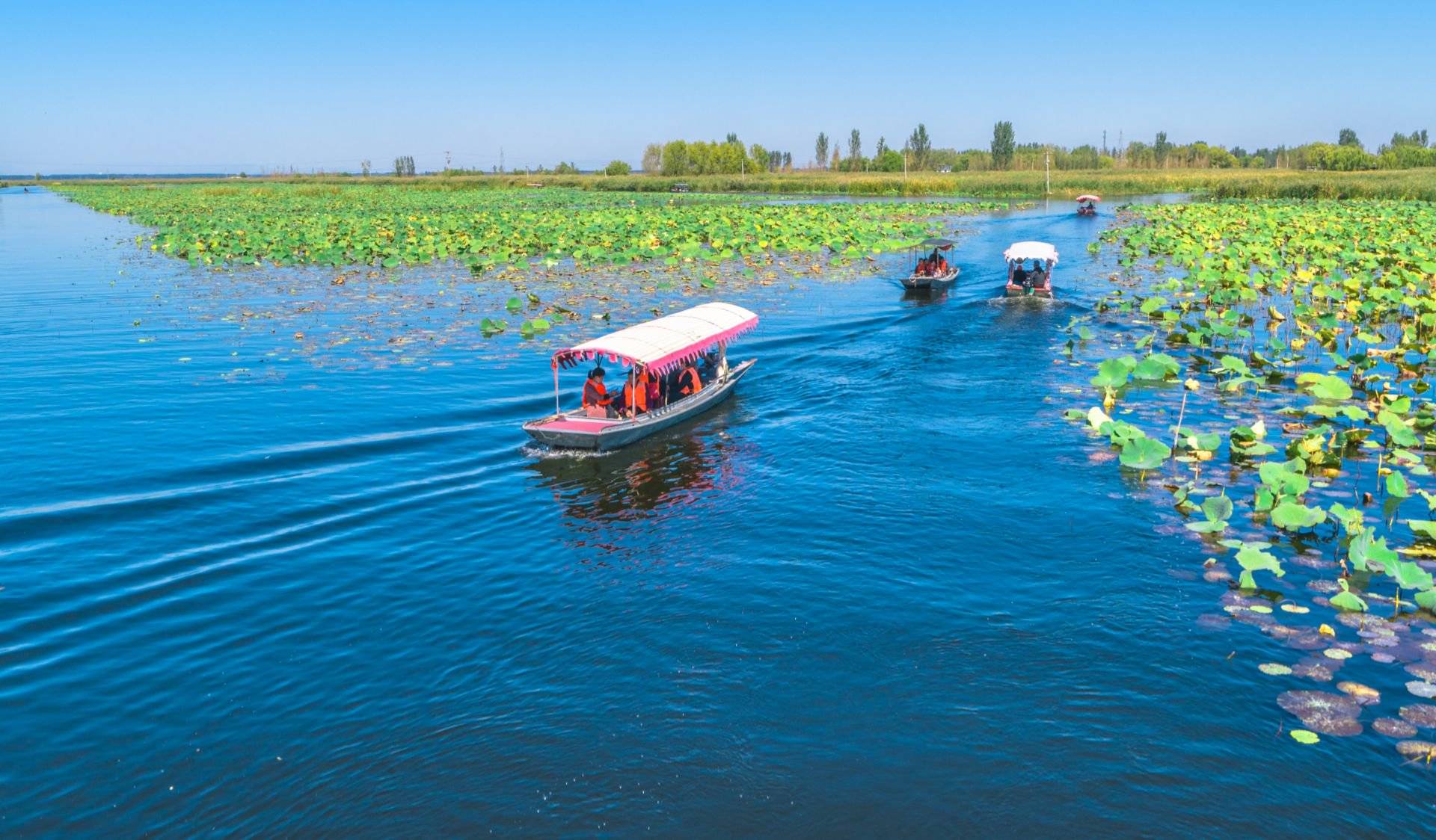 親歷白洋淀水污染治理 轟轟烈烈的戰役與曲折艱辛的歷程