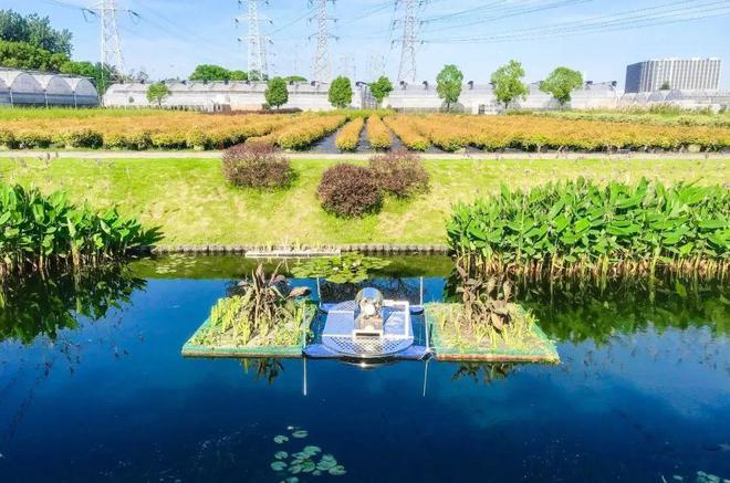 深耕城鄉(xiāng)水體污染治理，這位大學(xué)生的創(chuàng)業(yè)之路