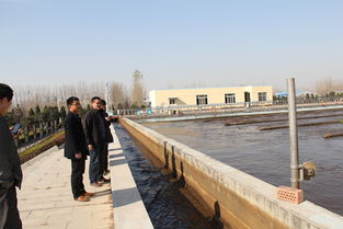 平邑縣審計(jì)局聚焦水污染治理項(xiàng)目 以專業(yè)審計(jì)護(hù)航生態(tài)攻堅(jiān)成效