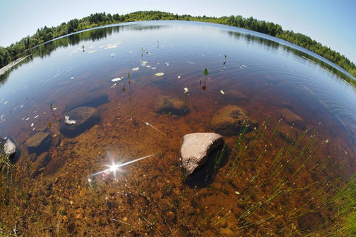 中國(guó)環(huán)境水污染治理的主要研究機(jī)構(gòu)及其貢獻(xiàn)