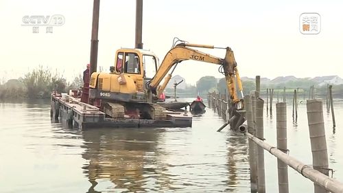 新朋友落戶“浙”里 水污染治理背后的生態(tài)蛻變與人文故事