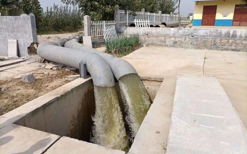 九戶鎮(zhèn)多措并舉筑牢生態(tài)屏障 扎實(shí)推進(jìn)秸稈禁燒與水污染治理工作