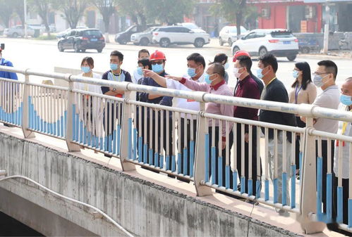 謝崗人大 強(qiáng)化監(jiān)督職能，組織代表視察水污染治理工作